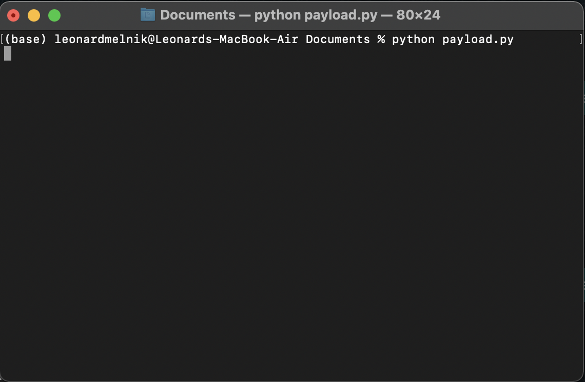 Python running payload